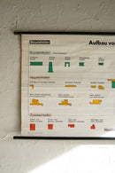 ドイツ　テクニカルウォールチャート(A)<br>ヴィンテージ <br> 大阪店 - ヴィンテージ SHARK ATTACK