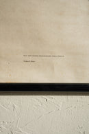 ドイツ　テクニカルウォールチャート<br>ヴィンテージ <br> 大阪店 - ヴィンテージ SHARK ATTACK