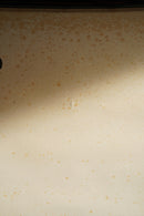 ドイツ　テクニカルウォールチャート<br>ヴィンテージ <br> 大阪店 - ヴィンテージ SHARK ATTACK