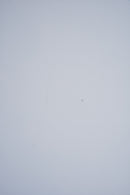 't Spectrum , Claire Bataille&Paul Ibens <br>TE21 ダイニングテーブル <br>1971 , the Netherlands <br>大阪店