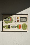 ドイツ　テクニカルウォールチャート<br>ヴィンテージ <br> 大阪店 - ヴィンテージ SHARK ATTACK