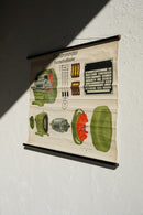 ドイツ　テクニカルウォールチャート<br>ヴィンテージ <br> 大阪店 - ヴィンテージ SHARK ATTACK