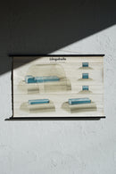 ドイツ　テクニカルウォールチャート<br>ヴィンテージ <br> 大阪店 - ヴィンテージ SHARK ATTACK