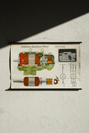 ドイツ　テクニカルウォールチャート<br>ヴィンテージ <br> 大阪店 - ヴィンテージ SHARK ATTACK