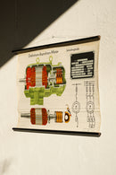 ドイツ　テクニカルウォールチャート<br>ヴィンテージ <br> 大阪店 - ヴィンテージ SHARK ATTACK