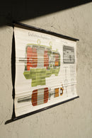 ドイツ　テクニカルウォールチャート<br>ヴィンテージ <br> 大阪店 - ヴィンテージ SHARK ATTACK