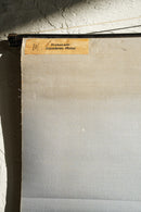 ドイツ　テクニカルウォールチャート<br>ヴィンテージ <br> 大阪店 - ヴィンテージ SHARK ATTACK