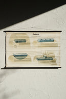 ドイツ　テクニカルウォールチャート<br>ヴィンテージ <br> 大阪店 - ヴィンテージ SHARK ATTACK