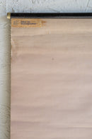 ドイツ　テクニカルウォールチャート(B)<br>ヴィンテージ <br> 大阪店 - ヴィンテージ SHARK ATTACK