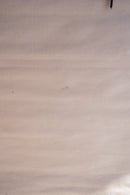 ドイツ　テクニカルウォールチャート(B)<br>ヴィンテージ <br> 大阪店 - ヴィンテージ SHARK ATTACK