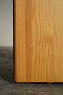 パインウッド コーナーラック <br>大阪店 - ヴィンテージ SHARK ATTACK