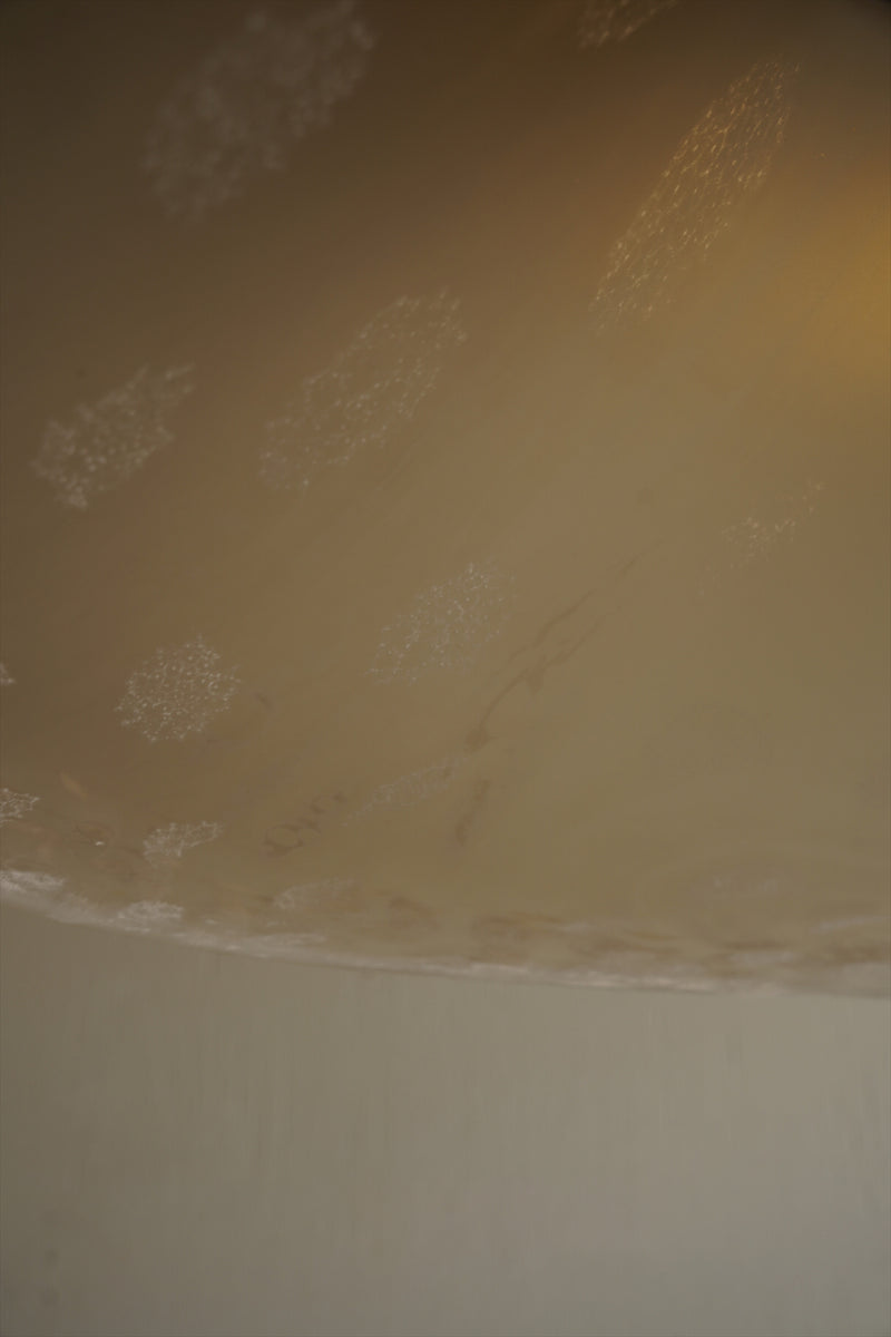 ガラス ペンダントランプ <br>大阪店 - ヴィンテージ SHARK ATTACK