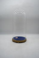 ガラスドーム<br>ヴィンテージ<br> cerote antiques - ヴィンテージ SHARK ATTACK