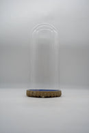 ガラスドーム<br>ヴィンテージ<br> cerote antiques - ヴィンテージ SHARK ATTACK