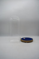 ガラスドーム<br>ヴィンテージ<br> cerote antiques - ヴィンテージ SHARK ATTACK