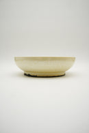 Otto Keramik<br> セラミックトレイ/プレート<br>ヴィンテージ<br>大阪店 - ヴィンテージ SHARK ATTACK