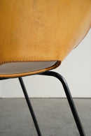 Maison du Monde , Pierre Guariche<br>アムステルダムチェア<br>1996 , France<br>大阪店 - ヴィンテージ SHARK ATTACK