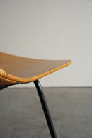 Maison du Monde , Pierre Guariche<br>アムステルダムチェア<br>1996 , France<br>大阪店 - ヴィンテージ SHARK ATTACK