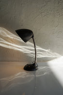 Eric Kirkman Coleデスクランプ(B)<br>ヴィンテージ<br>大阪店 - ヴィンテージ SHARK ATTACK