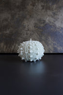 ARATi<br>uni (竹炭染め) - ヴィンテージ SHARK ATTACK