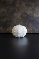 ARATi<br>uni (白色) - ヴィンテージ SHARK ATTACK