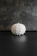 ARATi<br>uni (茜染め) - ヴィンテージ SHARK ATTACK