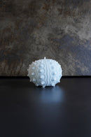 ARATi<br>uni (藍染め) - ヴィンテージ SHARK ATTACK