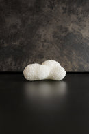 ARATi<br>sango(白色) - ヴィンテージ SHARK ATTACK