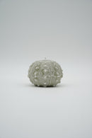 ARATi<br>uni (竹炭染め) - ヴィンテージ SHARK ATTACK