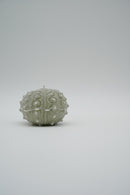 ARATi<br>uni (竹炭染め) - ヴィンテージ SHARK ATTACK