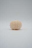 ARATi<br>uni (茜染め) - ヴィンテージ SHARK ATTACK