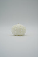 ARATi<br>uni (白色) - ヴィンテージ SHARK ATTACK