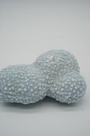 ARATi<br>sango(藍染め) - ヴィンテージ SHARK ATTACK