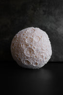 ARATi<br>luna (茜染め) M - ヴィンテージ SHARK ATTACK