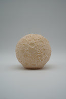 ARATi<br>luna (茜染め) M - ヴィンテージ SHARK ATTACK