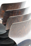 Flototto ダイニングチェア 1950’s,Germany<br>ヴィンテージ <br>大阪店・大和店(dan4HOLD11/10~）・cerote antiques・TAMAGAWA BASE - ヴィンテージ SHARK ATTACK