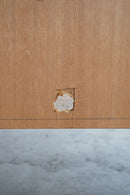 オークウッド ブックシェルフ<br>大阪店 - ヴィンテージ SHARK ATTACK