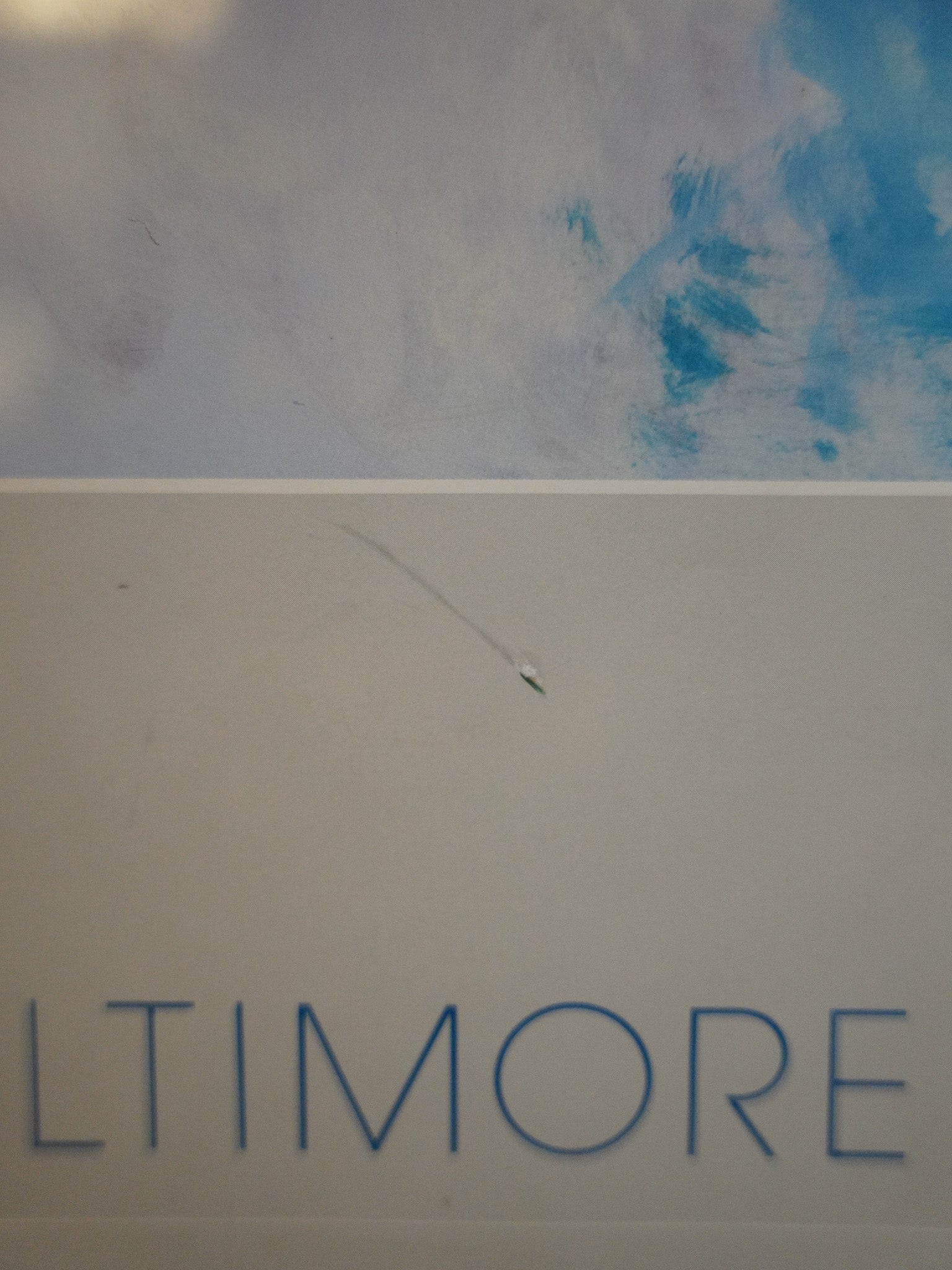 Baltimore Symphony Orchestra - ウォールアート - America - 大阪店