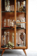 ガラスドーム<br>ヴィンテージ<br> cerote antiques - ヴィンテージ SHARK ATTACK