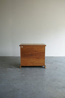 オークウッド キャビネット <br>大阪店 - ヴィンテージ SHARK ATTACK