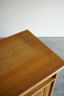 オークウッド キャビネット <br>大阪店 - ヴィンテージ SHARK ATTACK