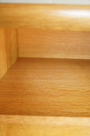 オークウッド キャビネット <br>大阪店 - ヴィンテージ SHARK ATTACK