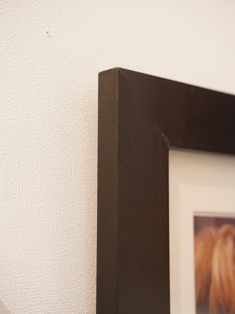 ウォールアート <br> 大和店 - ヴィンテージ SHARK ATTACK