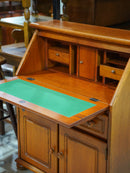 ライティングビューロー<br>Rondova Nederland<br> 大和店 - ヴィンテージ SHARK ATTACK