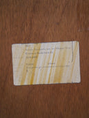 ライティングビューロー<br>Rondova Nederland<br> 大和店 - ヴィンテージ SHARK ATTACK