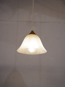 ガラスペンダントランプ <br> 大和店 - ヴィンテージ SHARK ATTACK