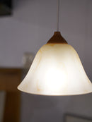 ガラスペンダントランプ <br> 大和店 - ヴィンテージ SHARK ATTACK