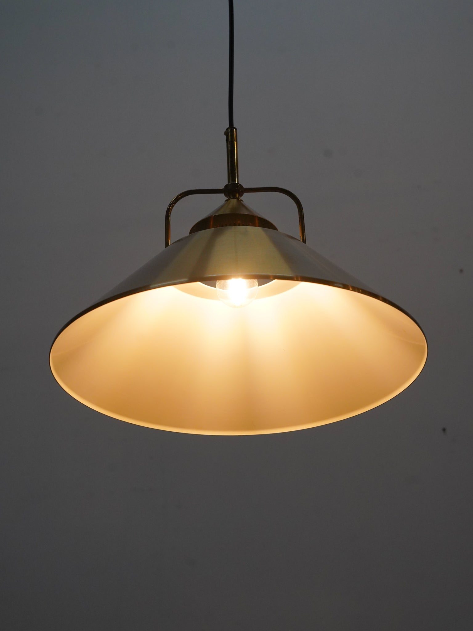 LIGHT – SHARK ATTACK ONLINE SHOP