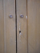 ウッドキャビネット<br> 大和店 - ヴィンテージ SHARK ATTACK