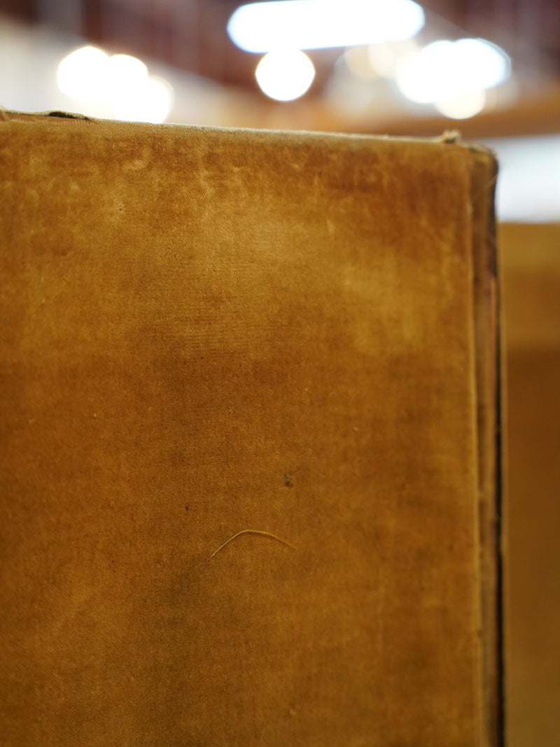 ファブリック パーテーション<br> 大和店 - ヴィンテージ SHARK ATTACK